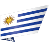 Paraguay (Pro)