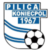 Pilica Koniecpol