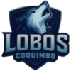 Lobos Coquimbo U21