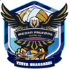Medan Falcons Tirta Bhagasasi