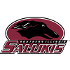 Southern Illinois Salukis (Bayanlar)