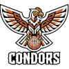 IPBL Condors