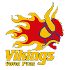 Vikings Volei Prat