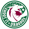 Shoot it Dragons