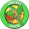 Liceo Curico U21