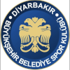 MKE Ankaragücü (Bayanlar)