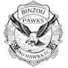 Binzhou Hawks FC