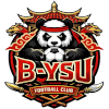 B-YSU