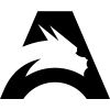 Team Spirit Academy Black