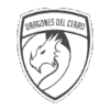 Dragones del Cerro