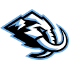 Pittsburgh Penguins (stoun)