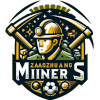 Zaozhuang Miners