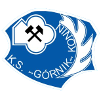 Gornik Konin