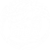 Gatorian
