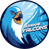 Adamson Baby Falcons U19