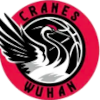 Wuhan Shengfan Yellow Crane (Bayanlar)