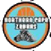 Northern Cape Zebras
