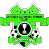 Synergy Ultimate