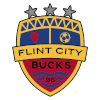 Lansing City