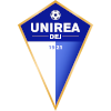 FC Unirea Dej