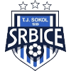 Sokol Srbice