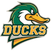 Ducks (2x2)