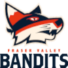 Brampton Honey Badgers