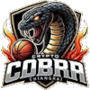 Crypto Cobra