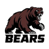 IPBL Bears