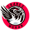 Wuhan Shengfan U21 (Women)