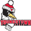 Youngstown State Penguins