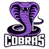 IPBL Cobras (Women)
