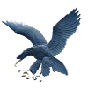 ADMU Eagles (Bayanlar)