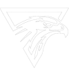 Halcones