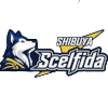 Shibuya Scelfida 3x3