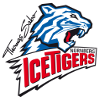 Nurnberg Ice Tigers