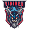 Wild Vikings