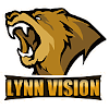 Lynn Vision