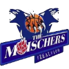 Moischer Nets