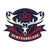 Newfoundland Regiment