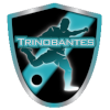 Trinobantes+