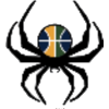 Spiders