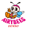 Denso Airybees (Bayanlar)