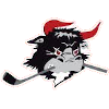 SønderjyskE Ishockey
