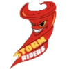Stormriders