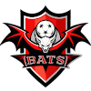 Bats (2x2)