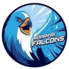 ADU Falcons U19 (Bayanlar)