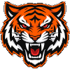 Shadow Tigers