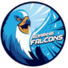 Adamson University Soaring Falcons (Bayanlar)