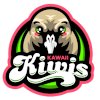Kawaii Kiwis